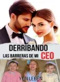 DERRIBANDO LAS BARRERAS DE MI CEO  cover