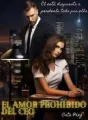 EL AMOR PROHIBIDO DEL CEO cover