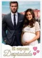 El esposo despiadado: entre la dominación y el amor. cover