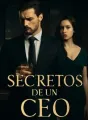 Secretos de un CEO cover
