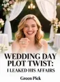 Wedding Day Plot Twist: I Leaked His Affairs cover