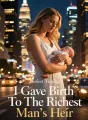 I Gave Birth To The Richest Man's Heir cover