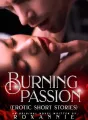 Burning Passion {steamiest short stories} cover