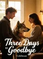 Three Days to Goodbye cover