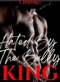 Hated By The Bully King cover