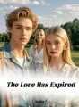 The Love Has Expired cover