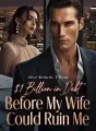 After Rebirth, I Went $1 Billion in Debt Before My Wife Could Ruin Me cover