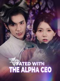 Fated with the Alpha CEOShort Dramas