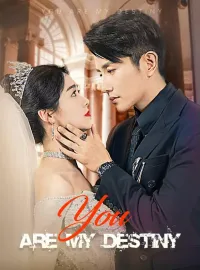 You Are My Destiny
