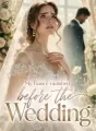 My Fiancé vanished before the Wedding cover