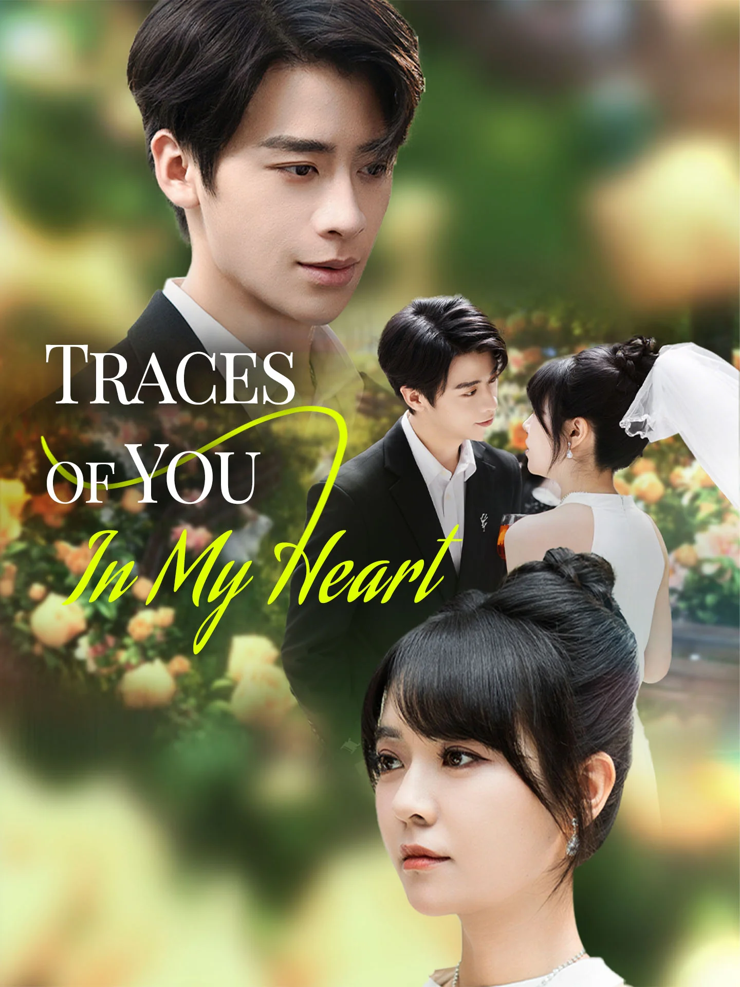 Traces of You in My Heart