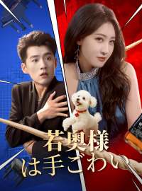 若奥様は手ごわい