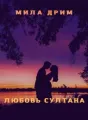 Любовь Султана cover