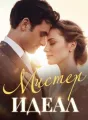 Мистер Идеал cover