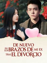 De Nuevo en los brazos de mi EX Tras el Divorcio