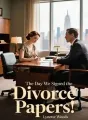 The Day We Signed the Divorce Papers cover