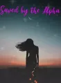 Saved by the Alpha cover