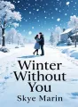 Winter Without You cover