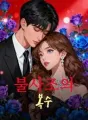 불사조의 복수 cover