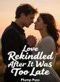 Love Rekindled After It Was Too Late cover