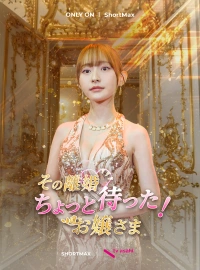 その離婚ちょっと待った！お嬢さま