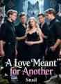A Love Meant for Another cover