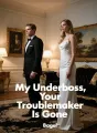 My Underboss, Your Troublemaker Is Gone cover