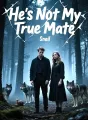 He's Not My True Mate cover