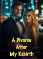 A Divorce After My Rebirth cover