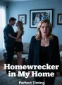 Homewrecker in My Home cover