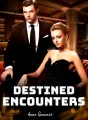 Destined Encounters cover