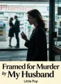 Framed for Murder by My Husband cover