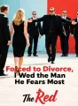Forced to Divorce, I Wed the Man He Fears Most cover