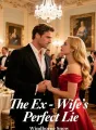 The Ex-Wife's Perfect Lie cover