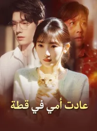 عادت أمي في قطة