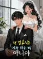 내 결혼식은 너와 하는 게 아니야 cover