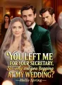 You Left Me for Your Secretary, so Why Are You Begging at My Wedding? cover