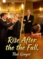 Rise After the Fall cover
