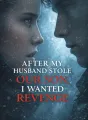 After My Husband Stole Our Son, I Wanted Revenge cover