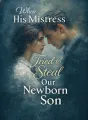 When His Mistress Tried to Steal Our Newborn Son cover