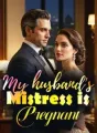 My husband's Mistress is Pregnant cover