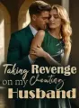 Taking Revenge On My Husband cover