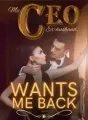 My CEO Ex-husband Wants Me Back cover