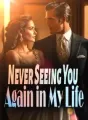 Never Seeing You Again in My Life cover