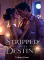 Stripped into Destiny cover