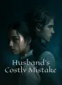 Husband's Costly Mistake cover