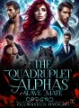 The Quadruplet Alphas' Slave Mate cover