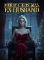 Merry Christmas, Ex-Husband cover