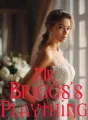 MR BRIGGS'S PLAYTHING cover