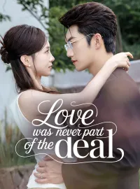 Love Was Never Part of the Deal